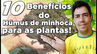 10 benefícios do Húmus de minhoca para as plantas [upl. by Yenrab40]