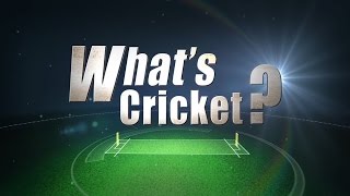 The Basic Rules of Cricket Explained [upl. by Yknarf]