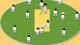 How to Play Cricket [upl. by Kataway]