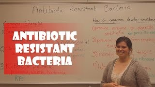 Antibiotic Resistant Bacteria [upl. by Ycat373]