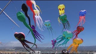 Berkeley Kite Festival 2017 [upl. by Bennir]