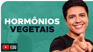 HORMÔNIOS VEGETAIS  Auxina Giberelina Citocinina Etileno e Ácido abscísico  Prof Kennedy Ramos [upl. by Suehtomit]