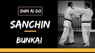 Sanchin Kata Bunkai [upl. by Arag]