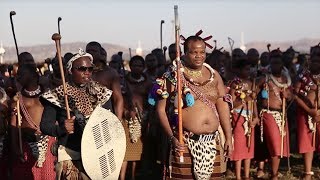 Reed Dance Ceremony in Swaziland [upl. by Tiff]