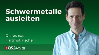 Schwermetallausleitung mit DMSO amp Chelattherapie  Dr rer nat Hartmut Fischer  QS24 [upl. by Icyak216]