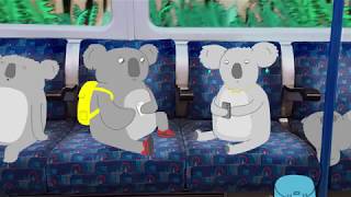 Koalas talk Chlamydia [upl. by Jenica]