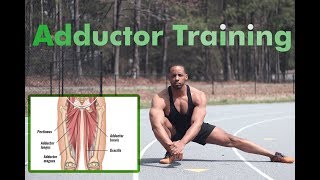 How to strengthen Adductors fix hip pain [upl. by Col]