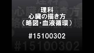 かんたんな心臓の略図の描き方（循環） [upl. by Enelear]