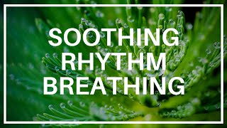 Soothing Rhythm Breathing  Compassion Focused Therapy Exercise LewisPsychology [upl. by Hoagland]