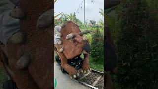 NAIK KERETA DINOSAURUS TRICERATOP BARENG ADEK KAKA [upl. by Frans]