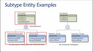 Topic 04 Part 11  Supertype and Subtype Entities [upl. by Mayyahk676]